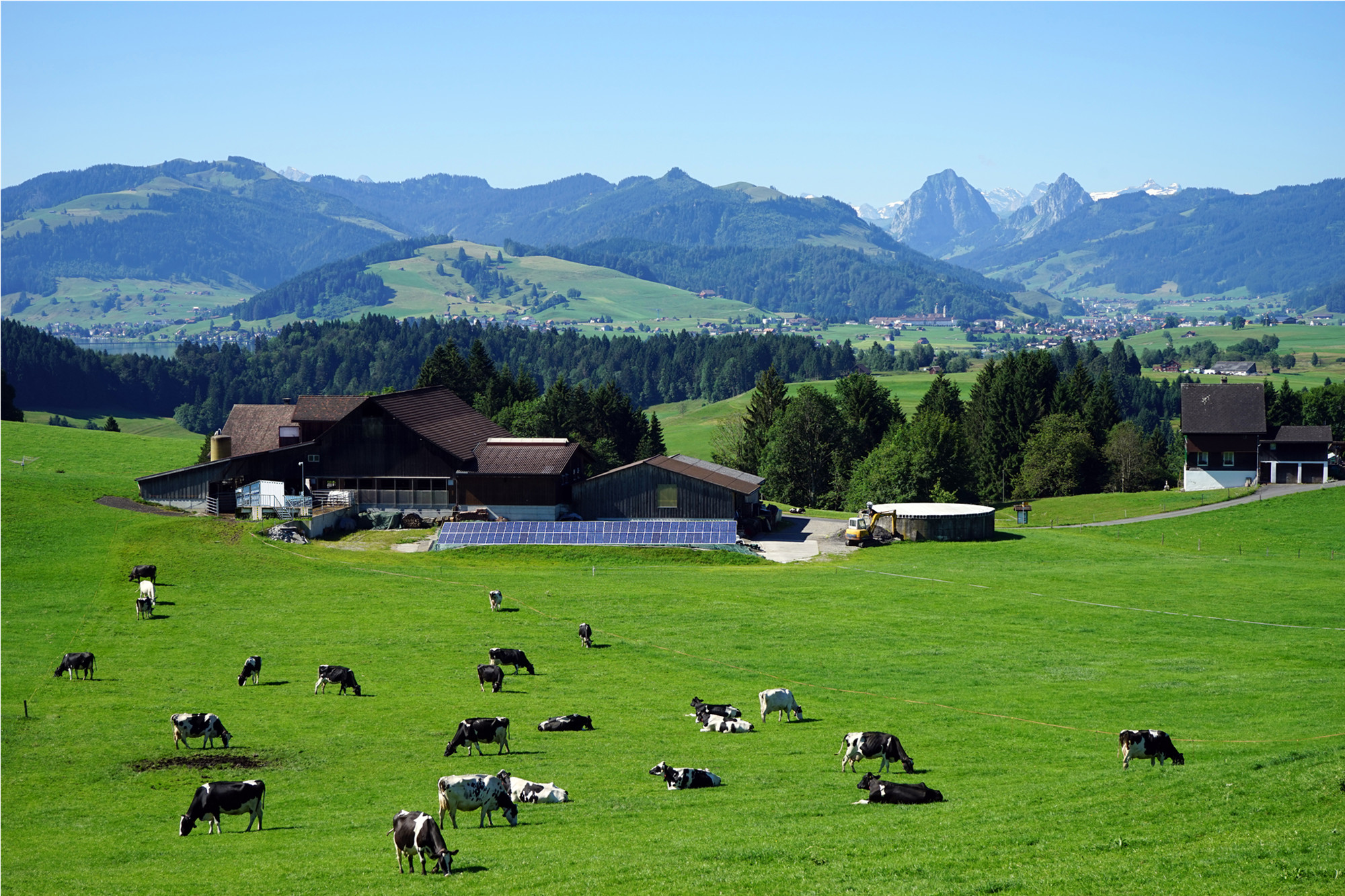 Integrated PV and Energy Storage Project for meadows in Switzerland